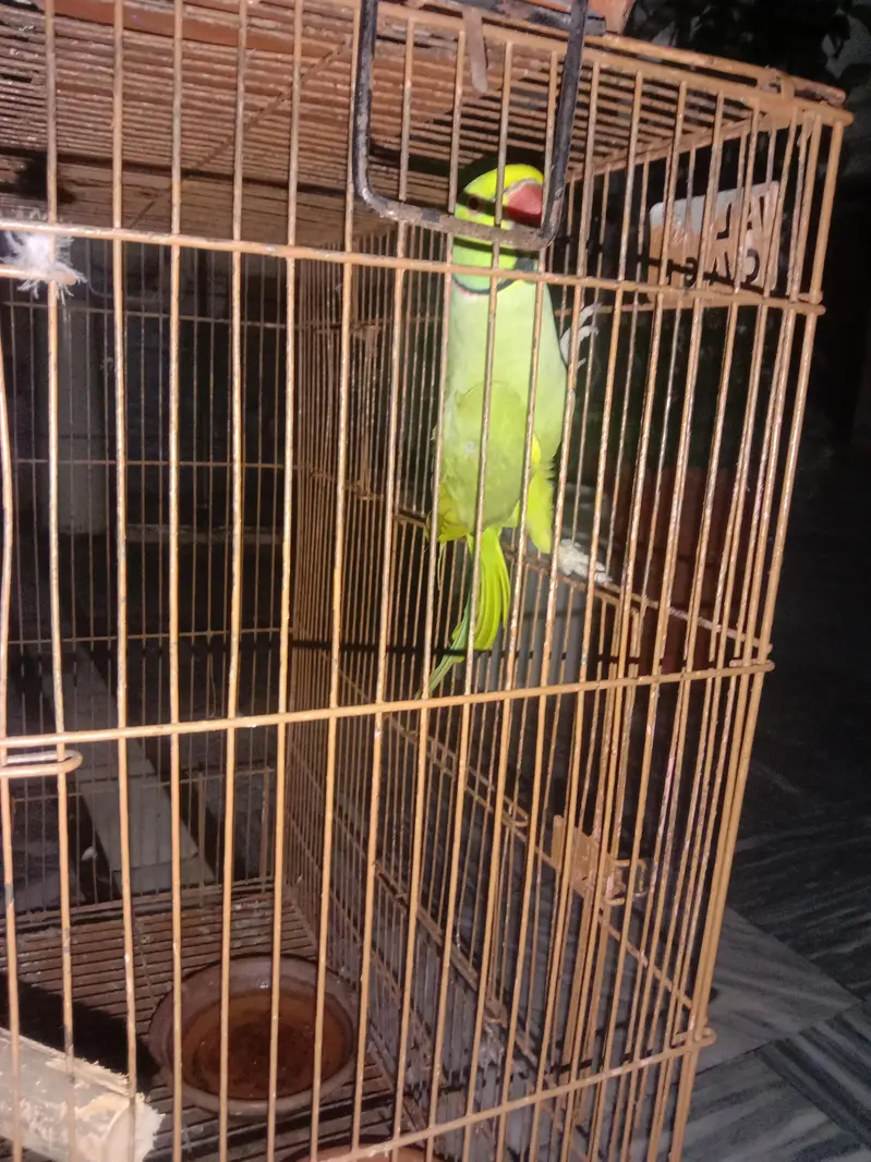 good health and energetic male — photo 4