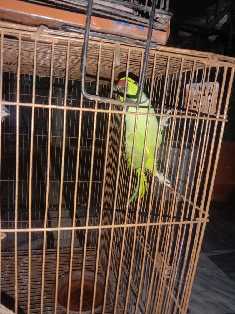 good health and energetic male — photo 5