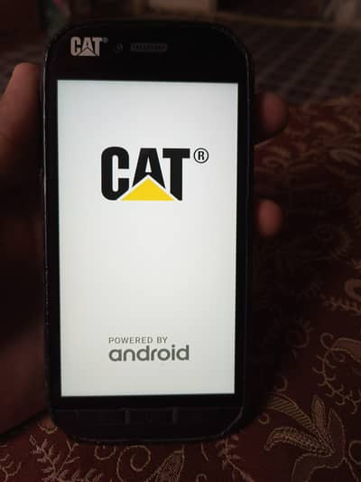 Cat S41