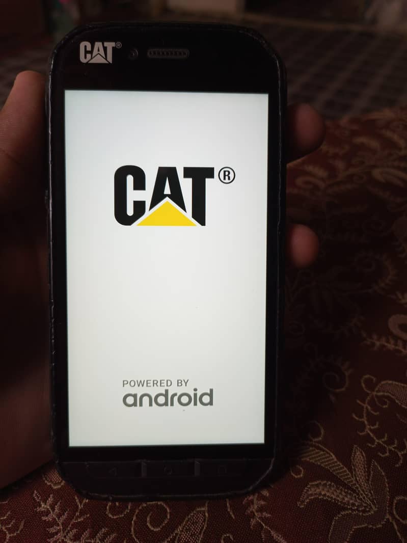 Cat S41 0