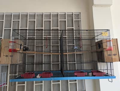 Double Portion Cage for sale