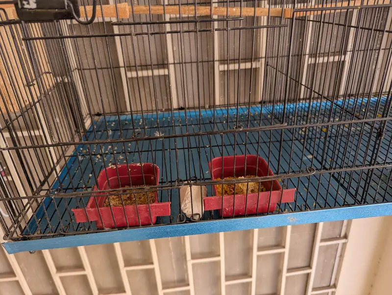 Double Portion Cage for sale — photo 2