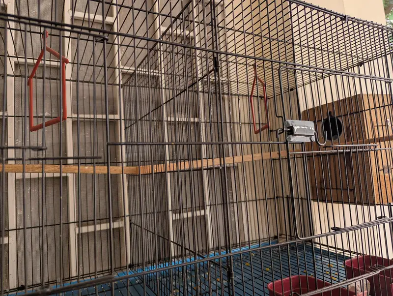 Double Portion Cage for sale — photo 3