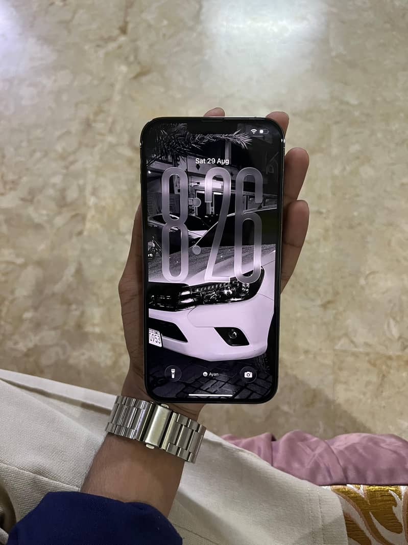 Apple iPhone 13 Pro Max 1