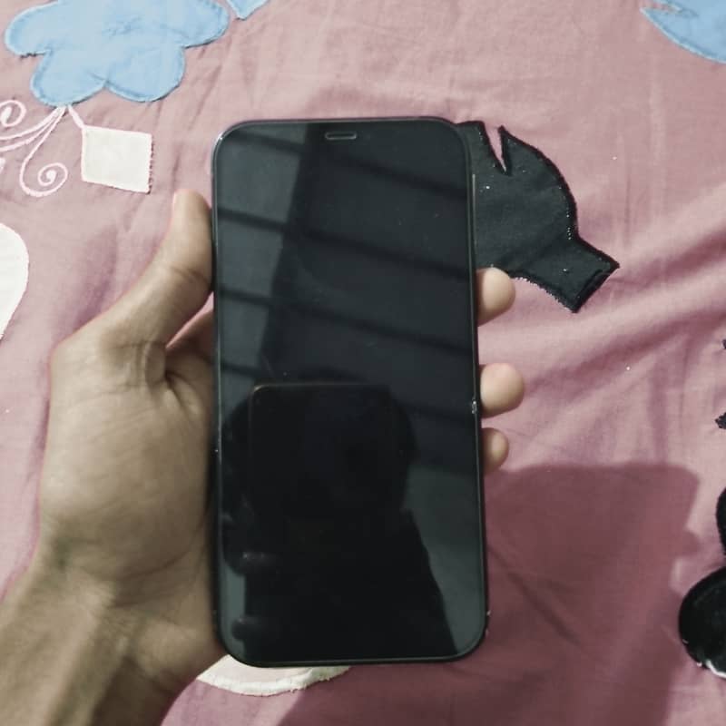 Apple iPhone 12 1