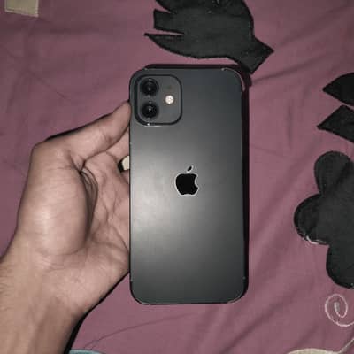 Apple iPhone 12