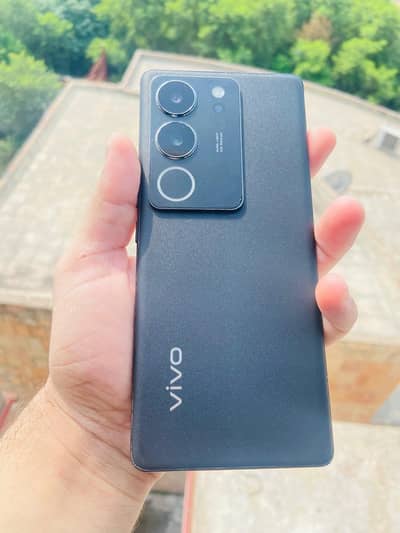 vivo v29 8+8/256