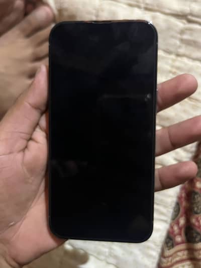 Apple iPhone 13 Pro