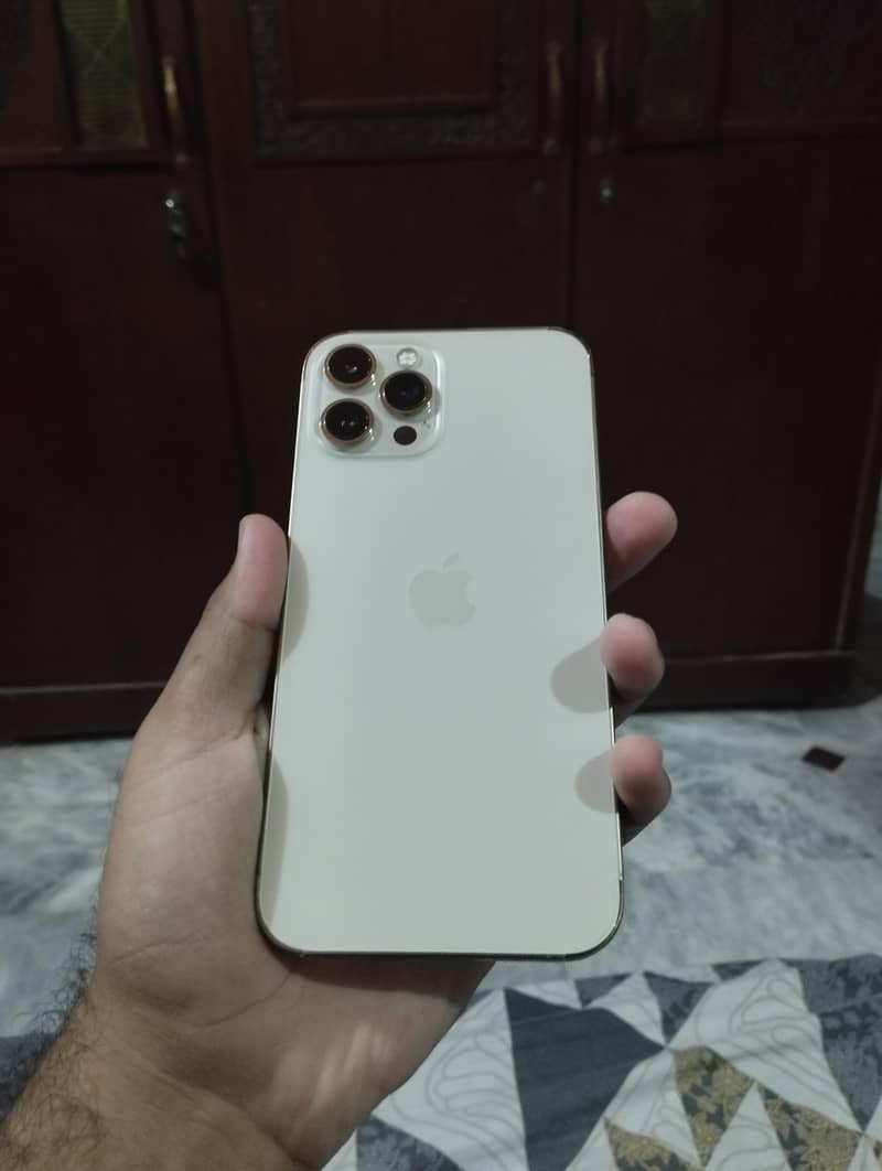 Apple iPhone 12 Pro Max 0