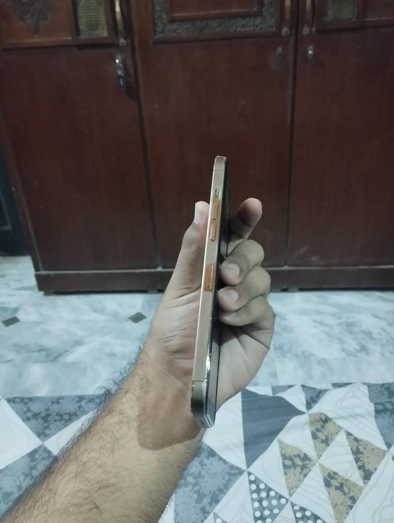 Apple iPhone 12 Pro Max 2