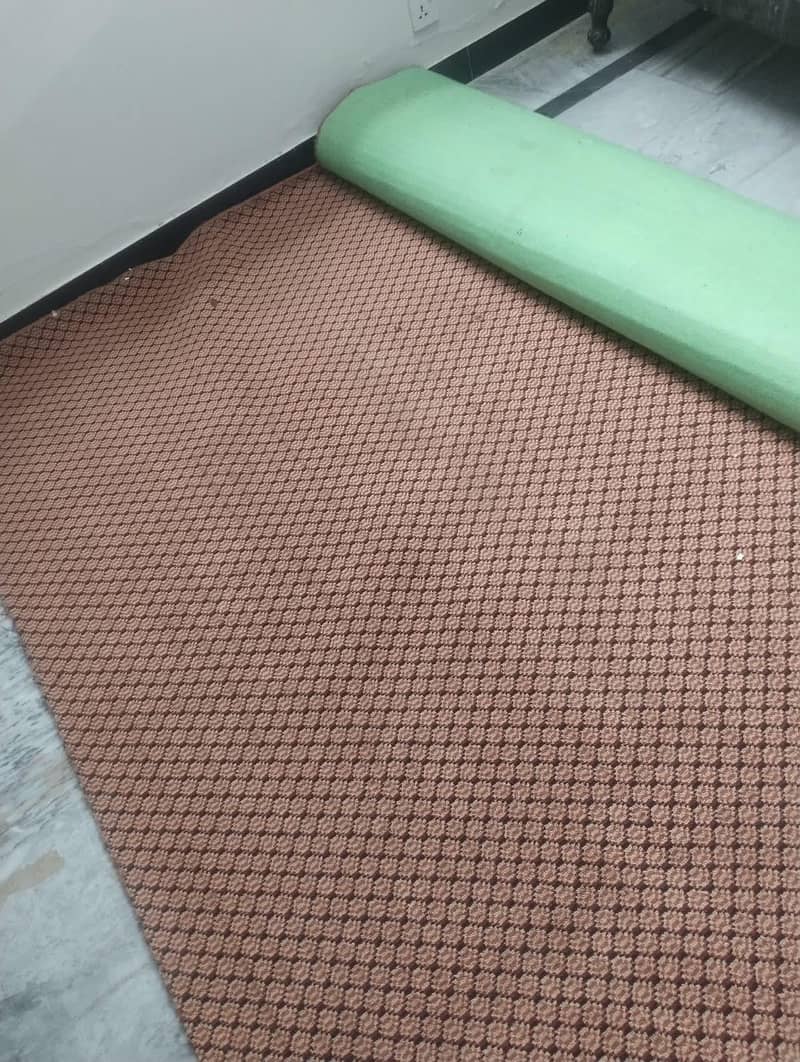 carpet 1