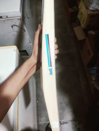 Hard ball practice bat