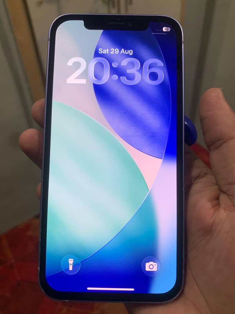 Apple iPhone 12 1