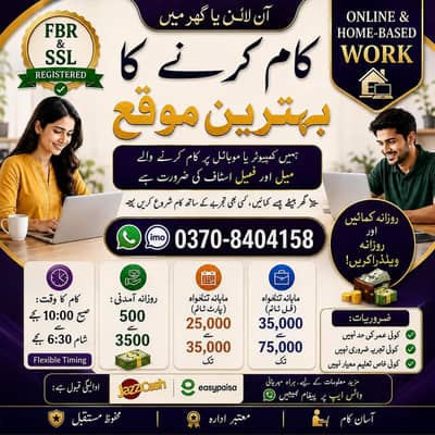 online Assignment/data entry work