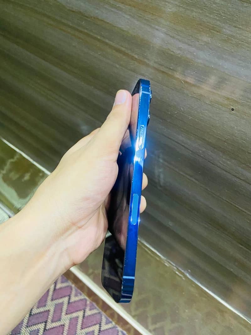 Apple iPhone 13 Pro Max 1
