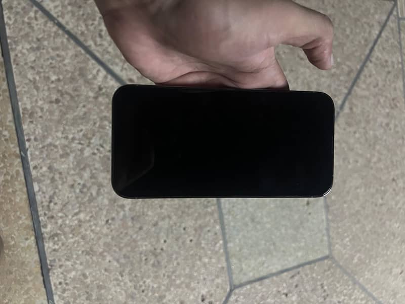 Apple iPhone 13 Pro Max 1