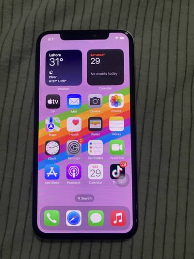 Apple iPhone X