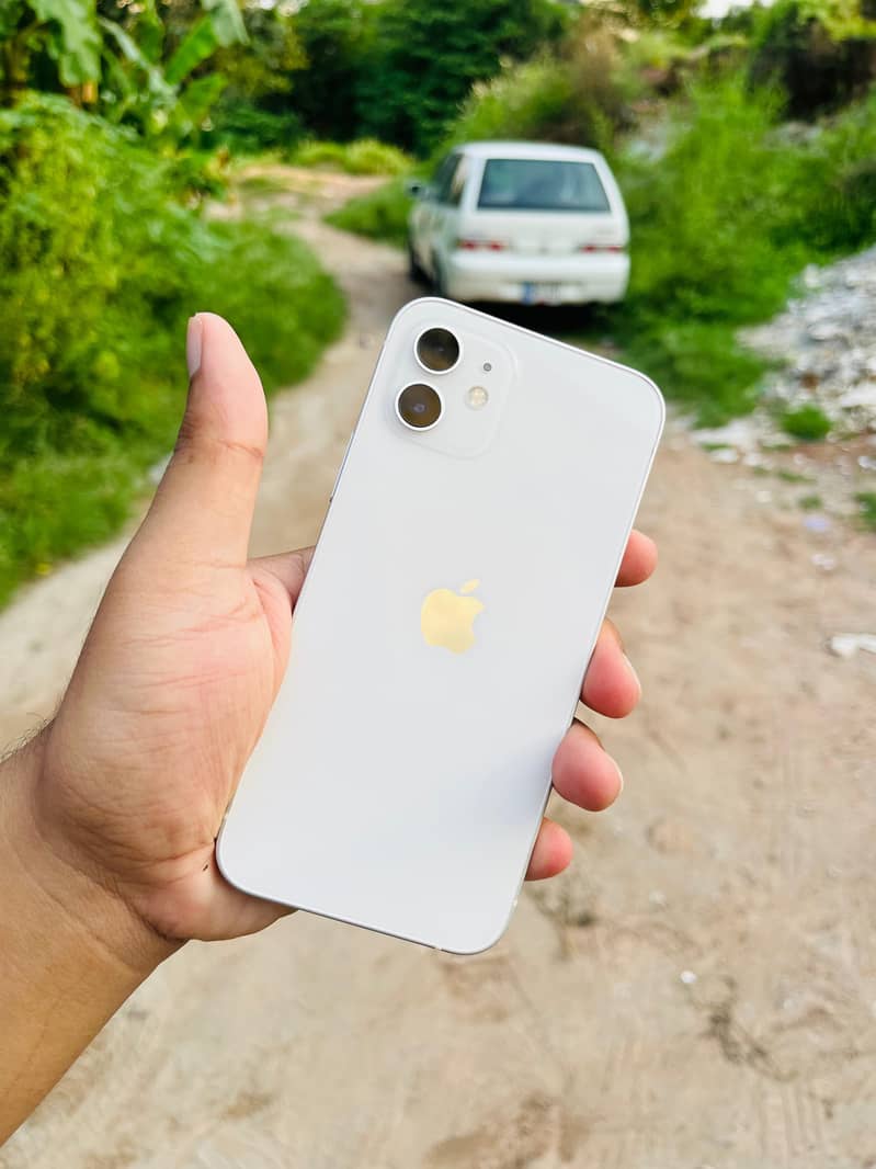 Apple iPhone 12 1