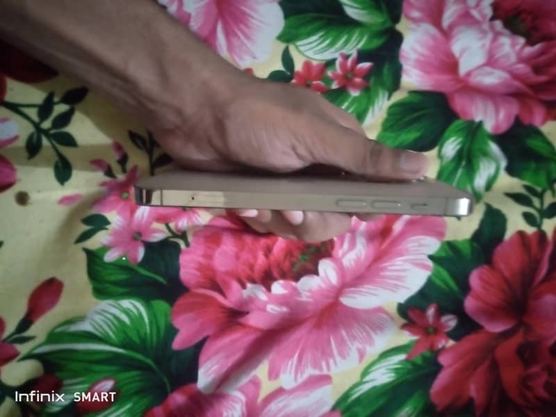 Apple iPhone 12 Pro 4
