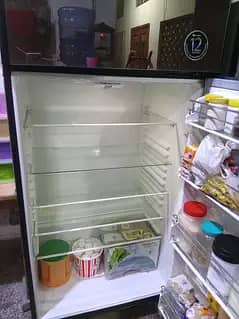 fridge 6