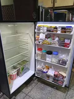 fridge 7
