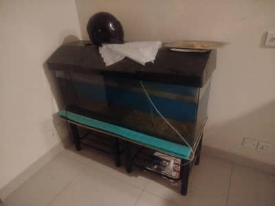 fish equrium 4 feet tank