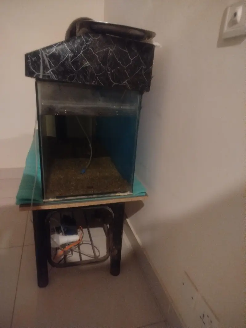fish equrium 4 feet tank — photo 3