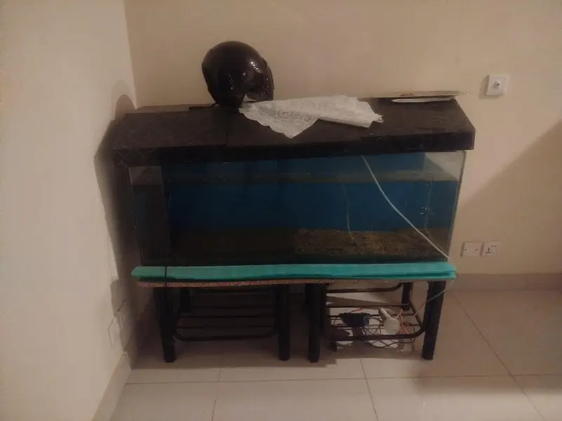 fish equrium 4 feet tank — photo 4