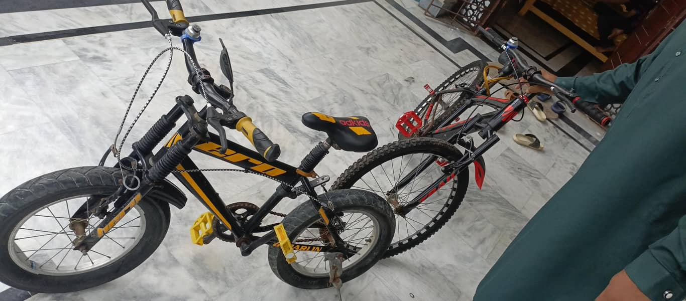 boy bycycle 2