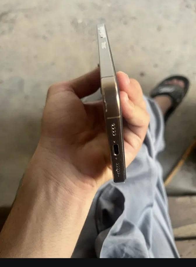 Apple iPhone 16 Pro Max 1