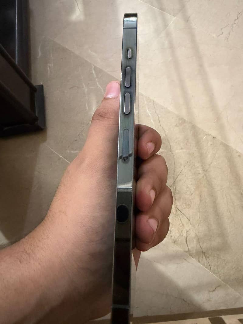 Apple iPhone 13 Pro Max 1