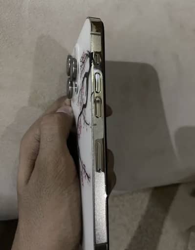 Apple iPhone 14 Pro iCloud lock