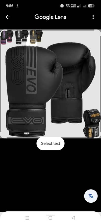 Original EVO boxing gloves for sale