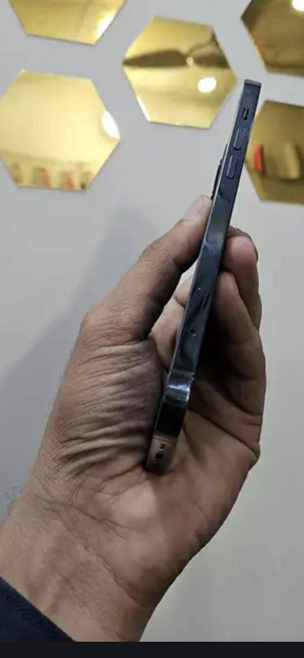 Apple iPhone 12 Pro Max 1