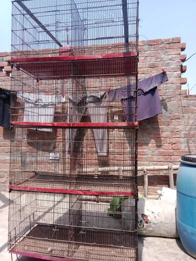 cage or box for sale