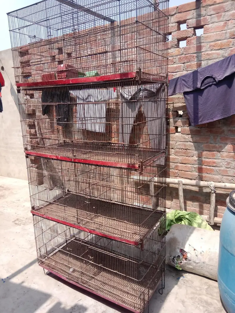 cage or box for sale — photo 2