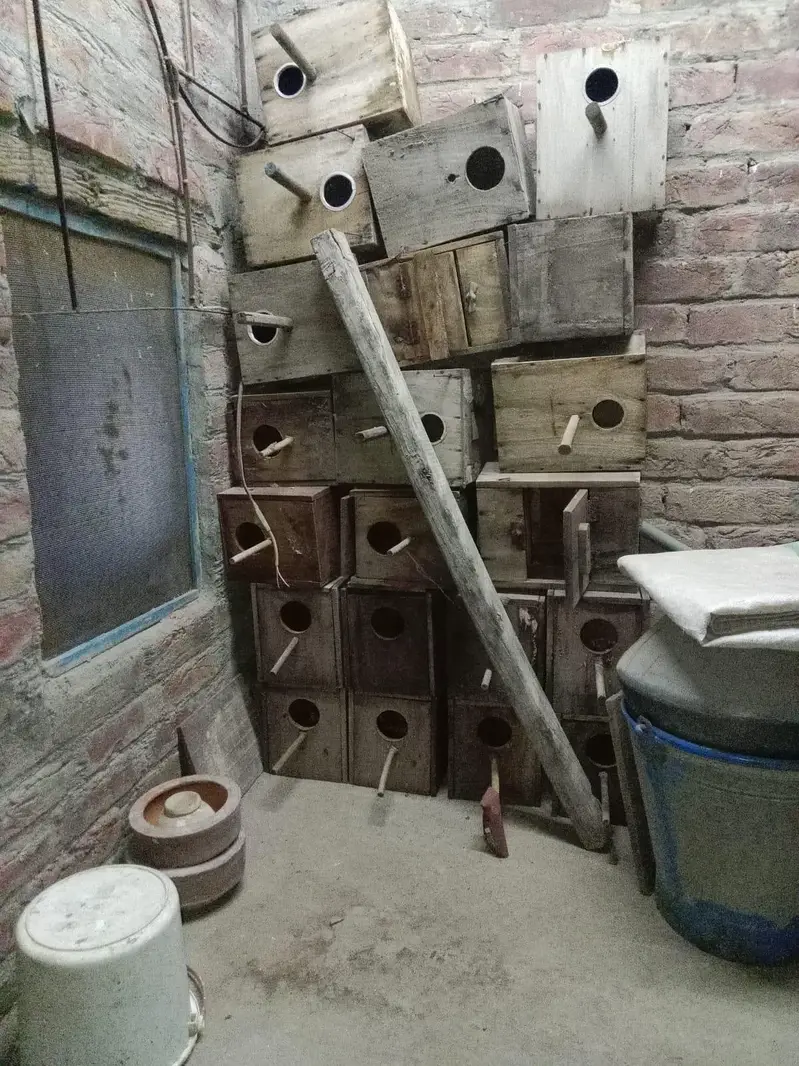 cage or box for sale — photo 3