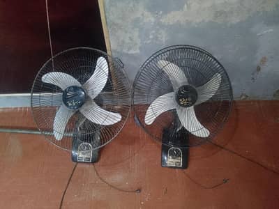 new fan