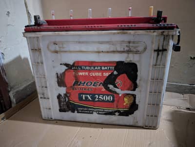phoenix Battery