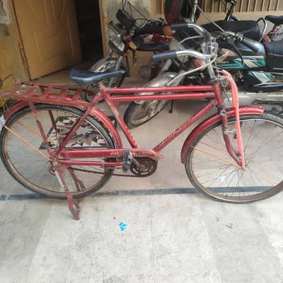 cycle