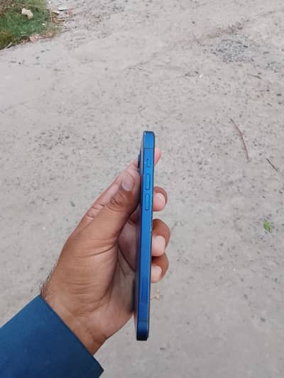Apple iPhone 12