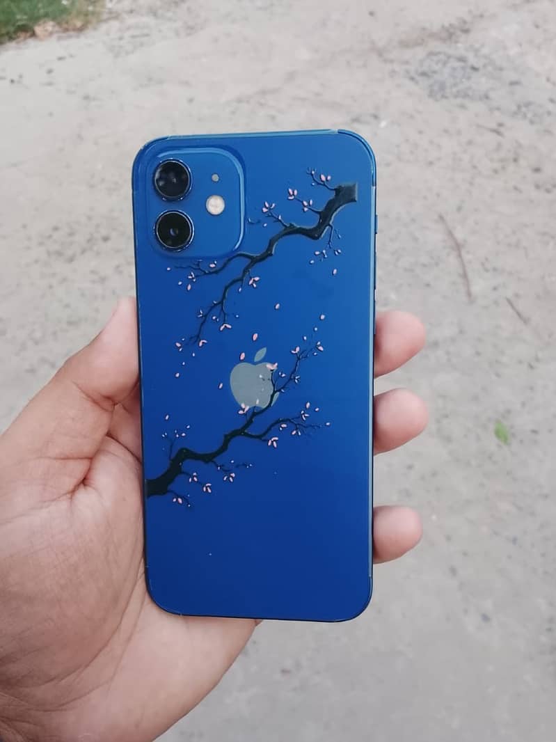 Apple iPhone 12 5
