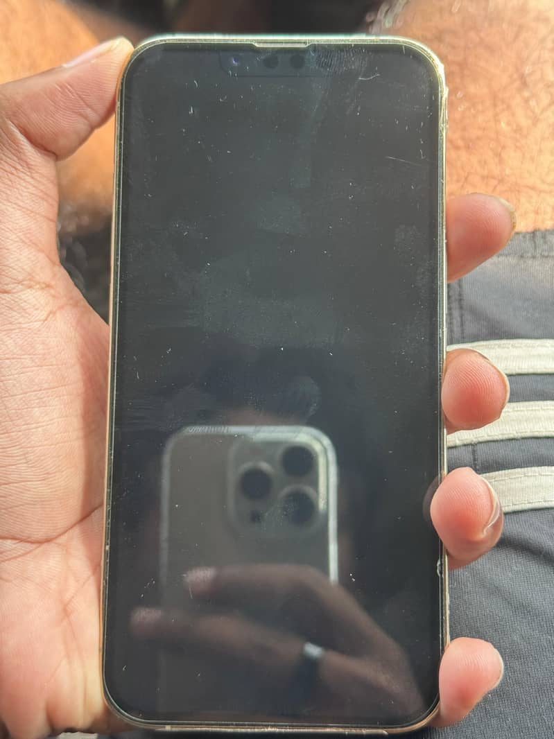 Apple iPhone 13 Pro 1