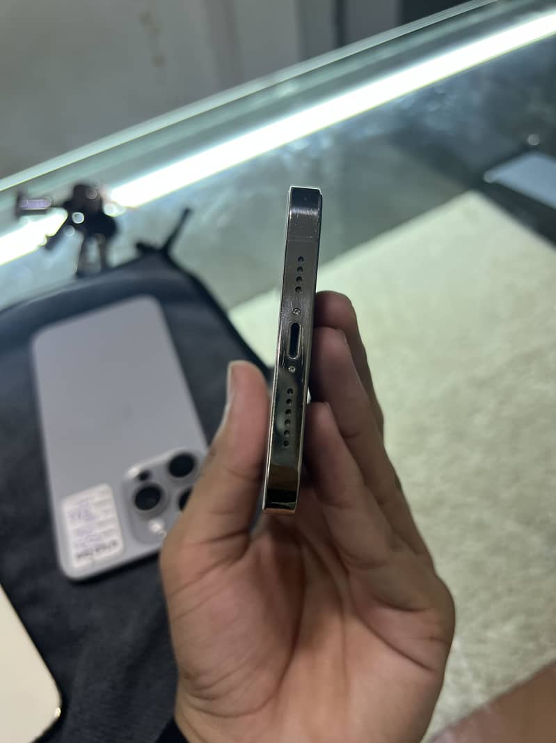 IPHONE 12 PRO MAX 1