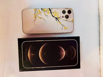 Apple iPhone 12 Pro Max