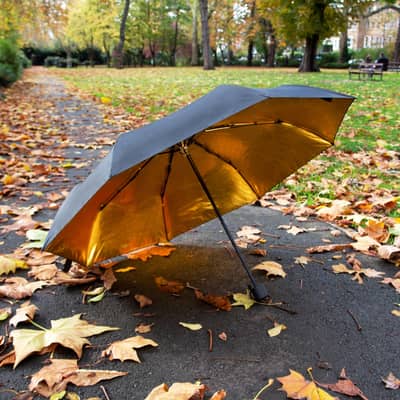 Umbrella