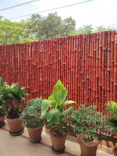mas Bambu
