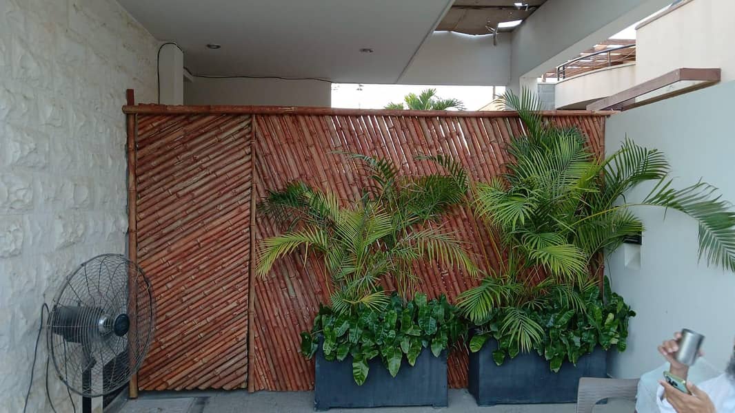mas Bambu 2