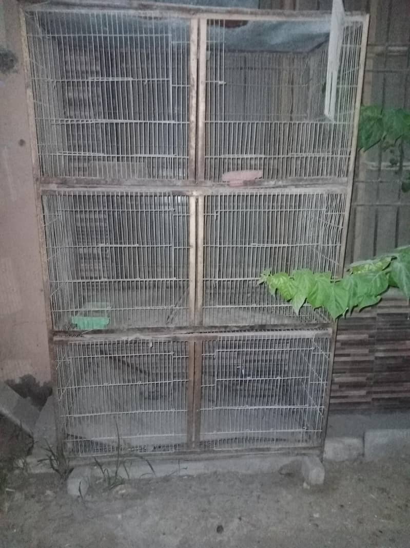 pingera 0