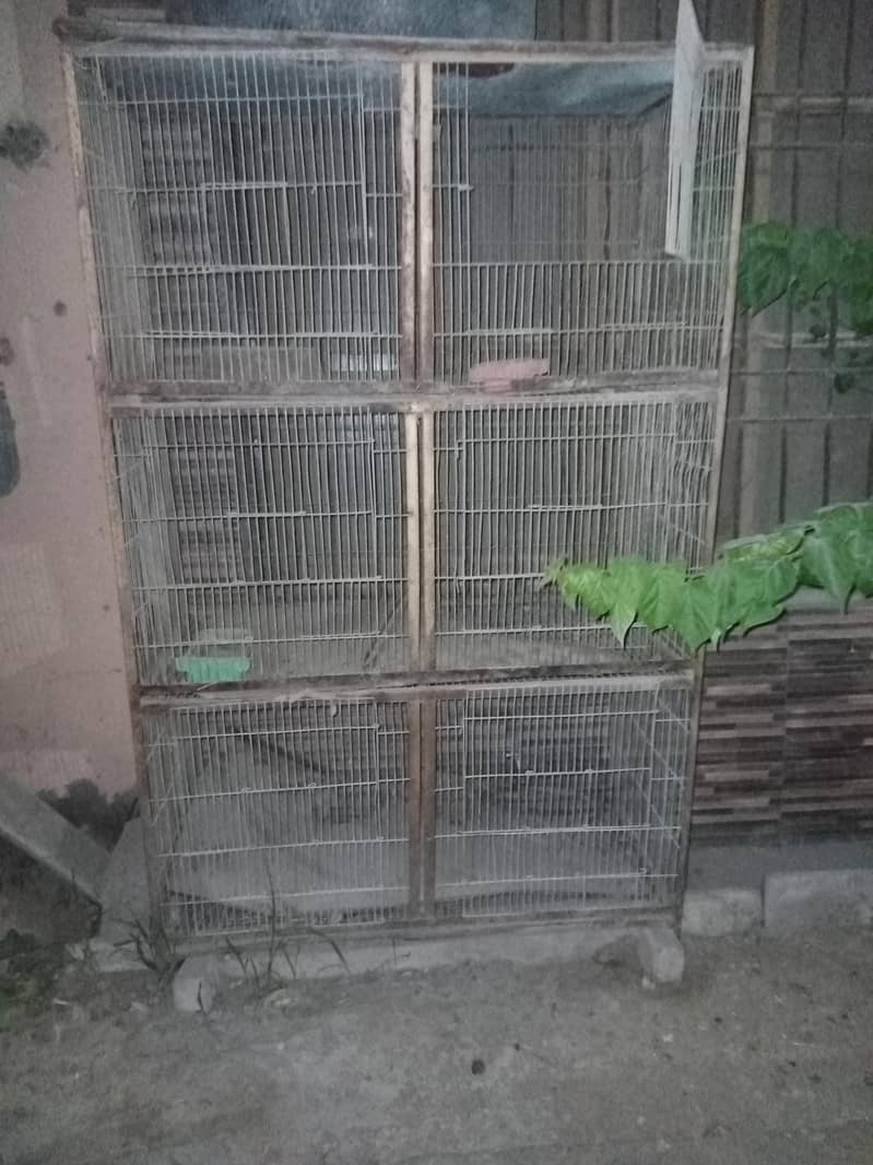 pingera 1